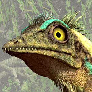 Archaeopteryx