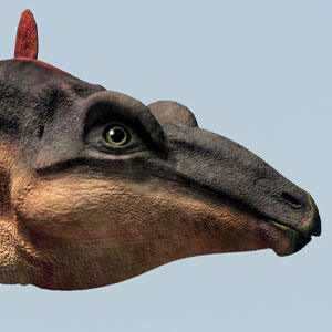 Stegosaurus