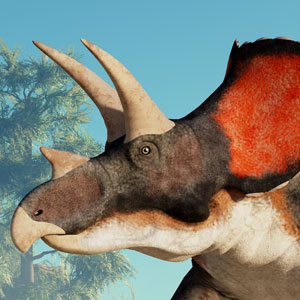 Triceratops